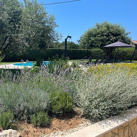 זאטון Apartments Sunny Estate מראה חיצוני תמונה