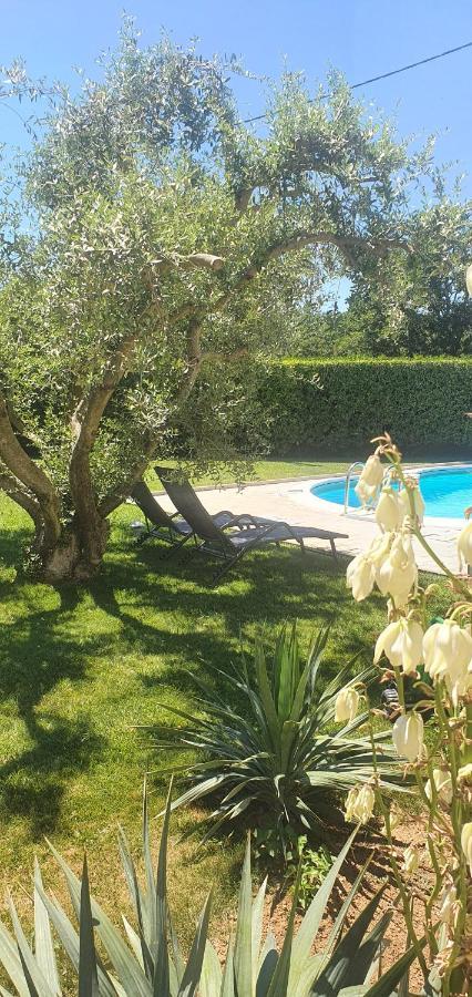 זאטון Apartments Sunny Estate מראה חיצוני תמונה