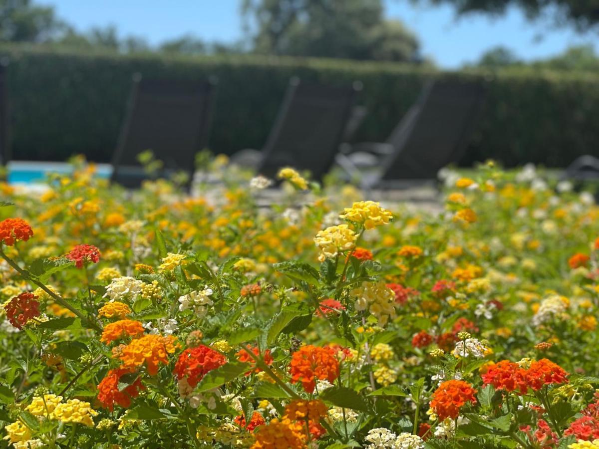 זאטון Apartments Sunny Estate מראה חיצוני תמונה