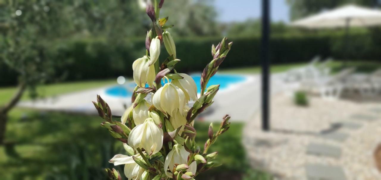 זאטון Apartments Sunny Estate מראה חיצוני תמונה