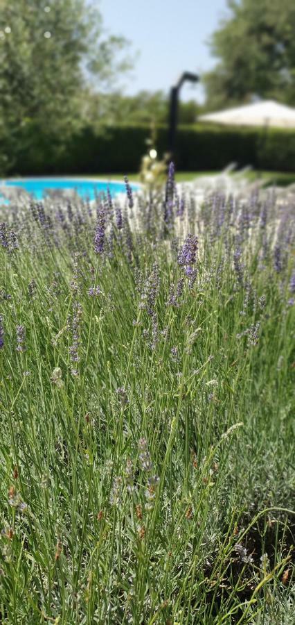 זאטון Apartments Sunny Estate מראה חיצוני תמונה