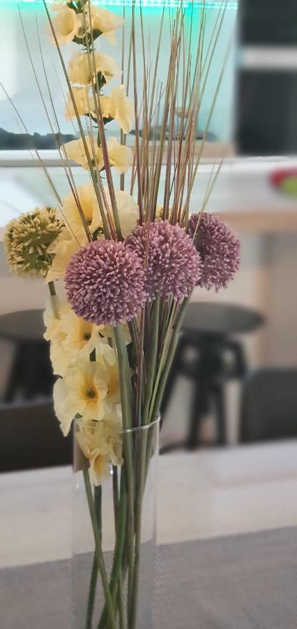 זאטון Apartments Sunny Estate מראה חיצוני תמונה