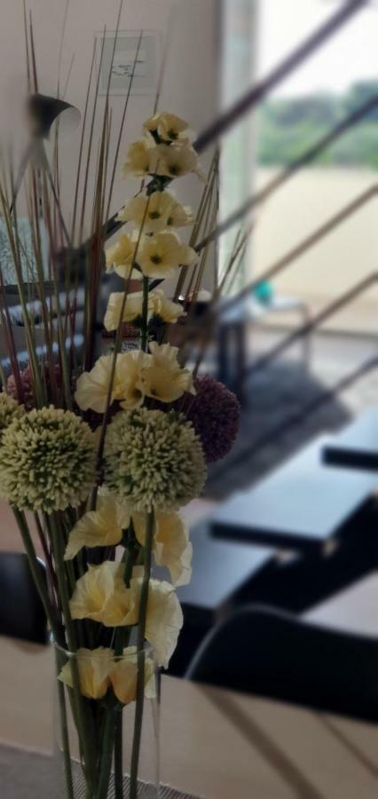 זאטון Apartments Sunny Estate מראה חיצוני תמונה